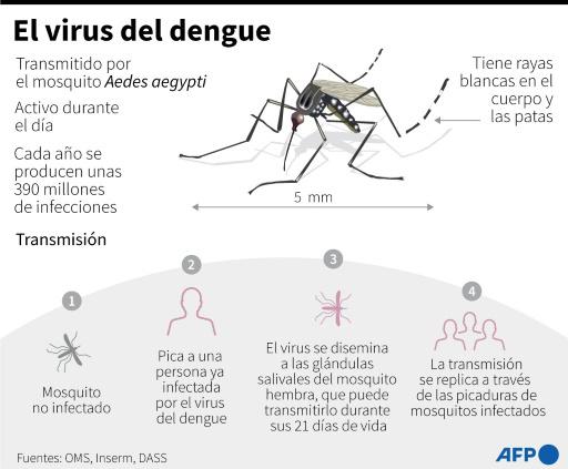 OPS alerta de récord de dengue en América Latina propiciado por cambio climático