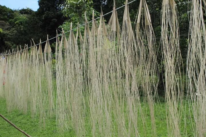 La Pintada celebra su imponente sombrero La Pintada celebra su imponente sombrero