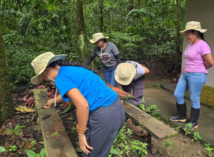 Jornada de remozamiento y rehabilitación del Parque Nacional Soberanía Jornada de remozamiento y rehabilitación del Parque Nacional Soberanía