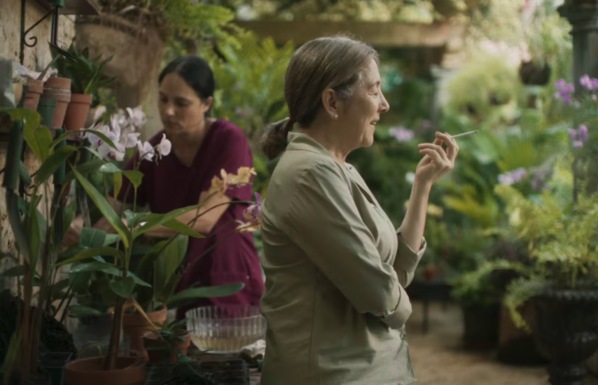 El cine panameño conquista la pantalla grande El cine panameño conquista la pantalla grande