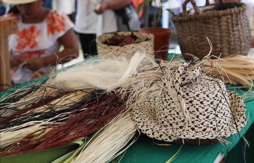 Guardiana del legado del sombrero pinta’o Guardiana del legado del sombrero pinta’o