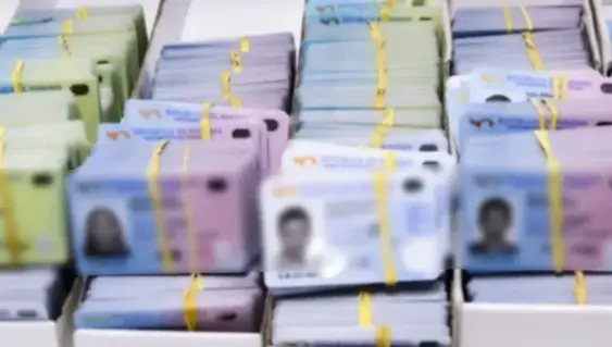 Tribunal Electoral reveló que 40 mil cédulas no han sido retiradas