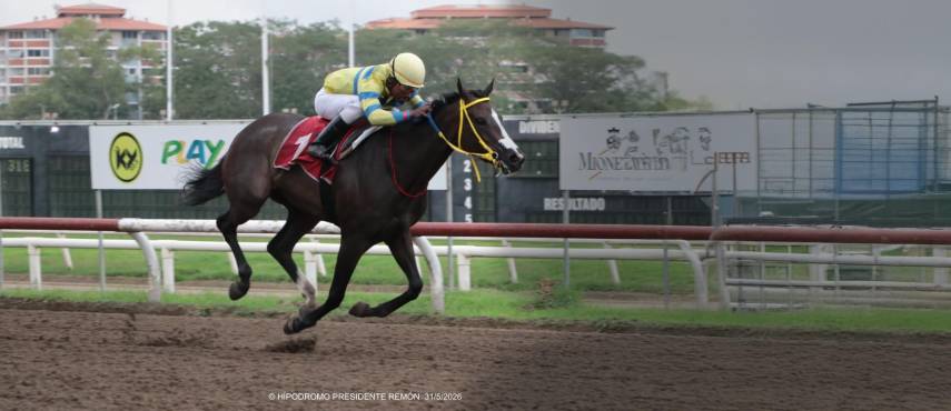 ‘Doña Perfecta’, en gran faena, logra triunfo en el Clásico Familia Endara