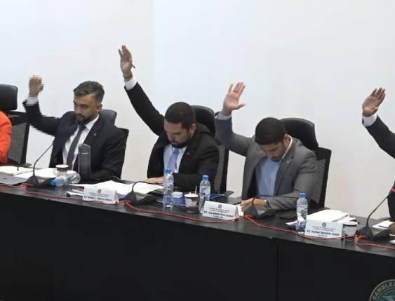 Cortesía | Diputados durante la votación en la Comisión de Gobierno y Asuntos Constitucionales de la Asamblea Nacional.