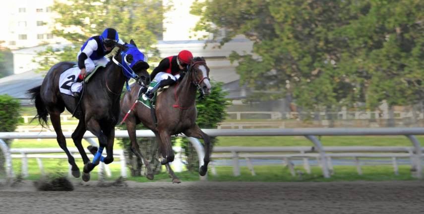 Siete yeguas van por el Clásico Eric Gómez
