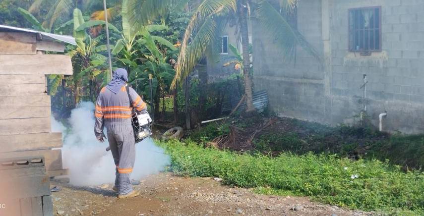 Minsa reporta seis mil casos de dengue en 2023 y hace un llamado a erradicar los criaderos