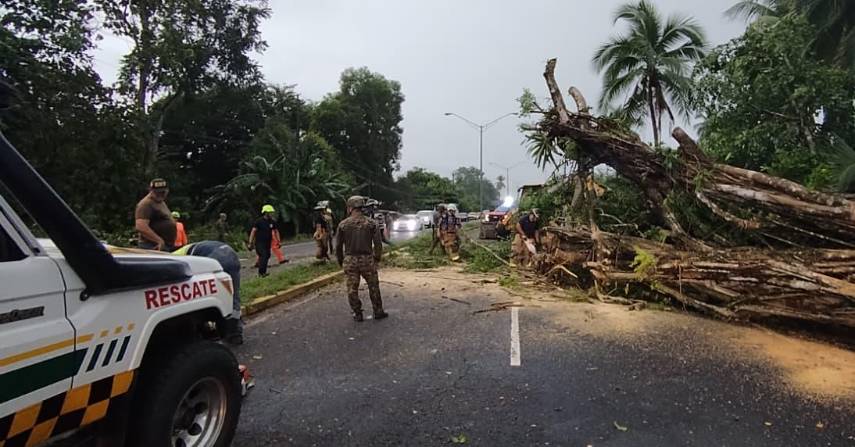 Fuertes lluvias provocan caída de árboles en la frontera y obligan al despeje de vías en Barú