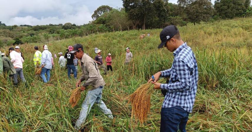 Omar Bultrón, el músico detrás de 300 éxitos típicos