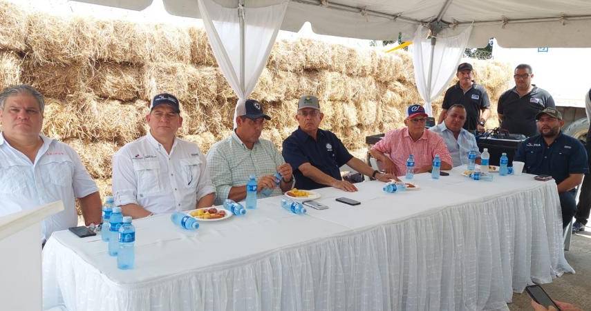 Panamá exporta primer contenedor de carne de cerdo a Nicaragua