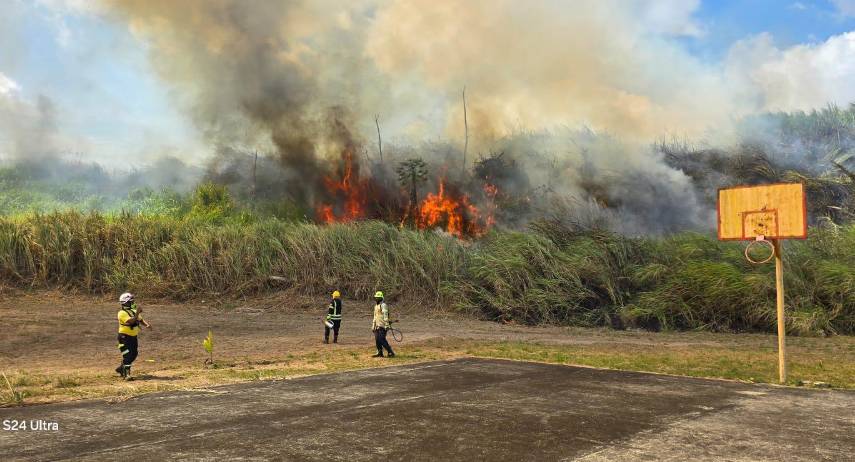 Bomberos se ocupan de fuego en herbazales en la comunidad de Praderas de San Lorenzo