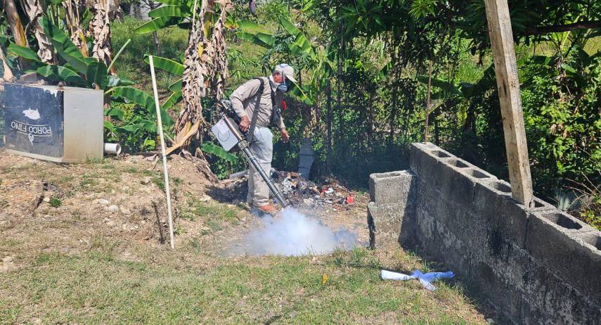 Más de 1,200 casos de dengue a nivel nacional este 2026