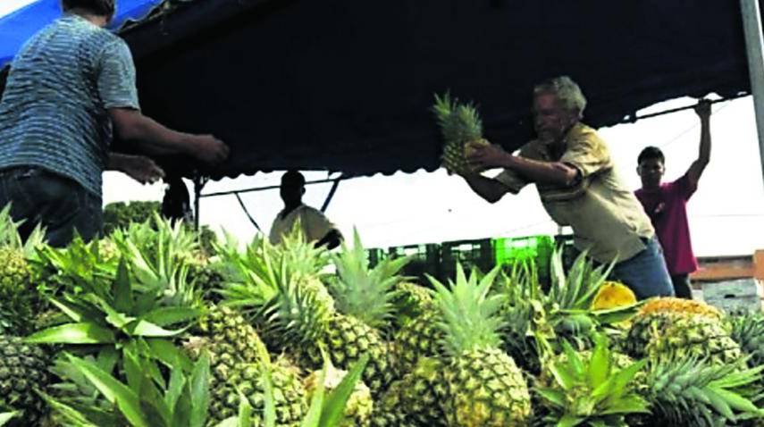 Panamá Oeste: mipymes y la construcción, los más afectados