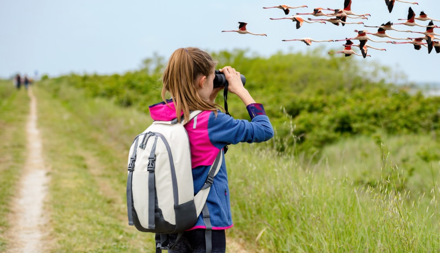 Todo está listo para el Centroamérica Big Day