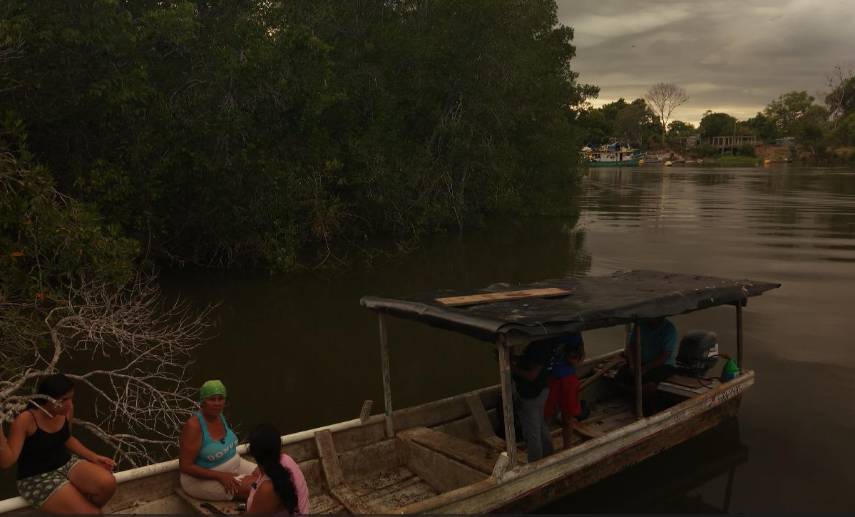 Este viernes culmina el periodo de consulta pública sobre la protección de los manglares de Chiriquí