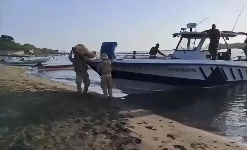 ML | Miembros de la Aeronaval.