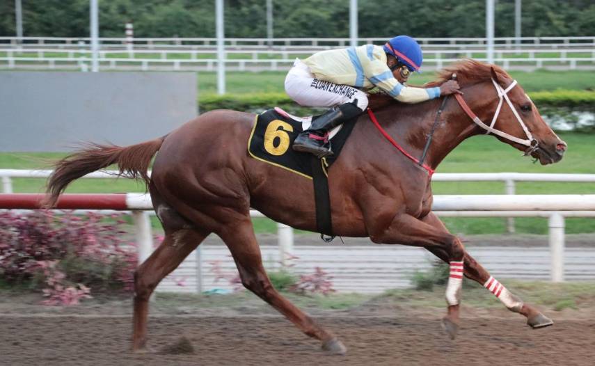 ‘Rococo’ va por el hándicap SPI