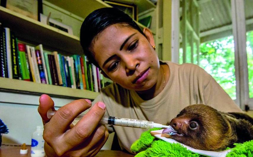 ¡Al rescate de la fauna!