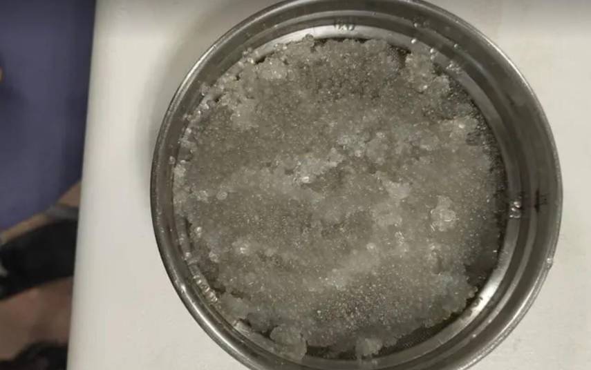 Investigadores andaluces obtienen microcápsulas de descartes pesqueros que mejoran los detergentes y piensos acuícolas