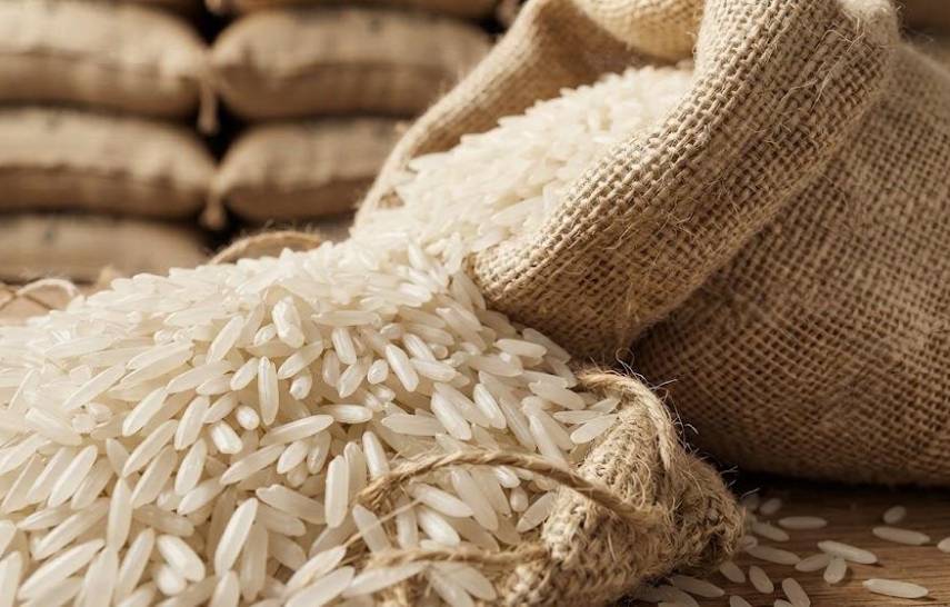 El contrabando de arroz y la tecnología, retos para el sector molinero