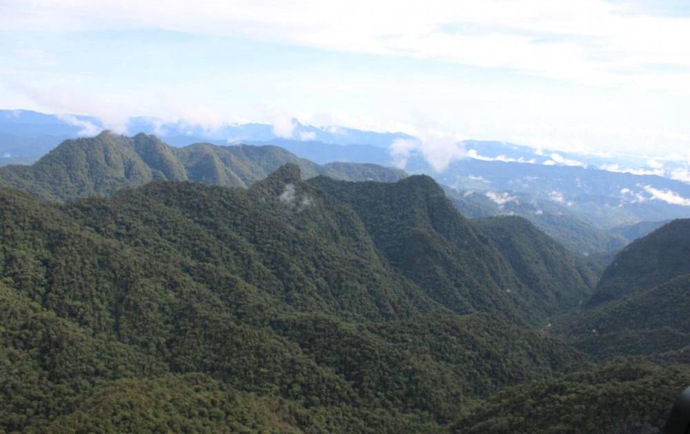 Concluye proceso de saneamiento de límites del Parque Internacional La