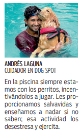 $!¡Peludos, al agua!