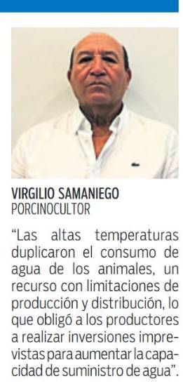 $!La producción de cerdo aumentó un 11.8% este año