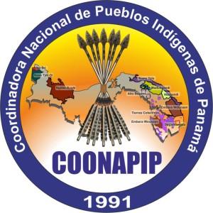 COONAPIP respalda designación de nuevo viceministro indígena