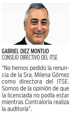 $!Arreglos florales de alambre de felpa, emprendimiento lleno de creatividad