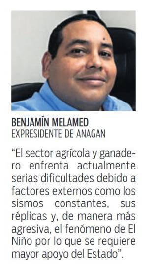 $!La producción de cerdo aumentó un 11.8% este año