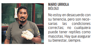 $!Sus características