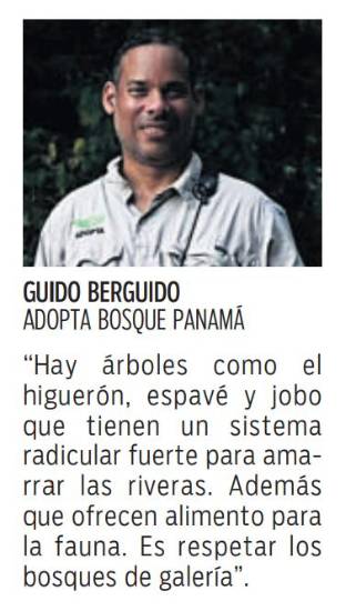 $!Los árboles que protegen las riberas de afluentes