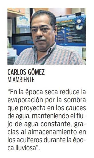 $!Los árboles que protegen las riberas de afluentes