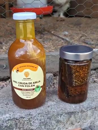 Miel cruda, de la colmena a la mesa: El emprendimiento que apuesta por lo natural