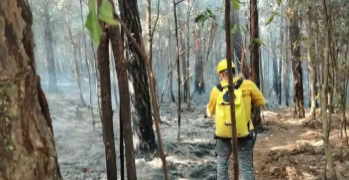 Tejemeneje del 18 de marzo de 2026