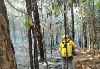 Tejemeneje del 18 de marzo de 2026