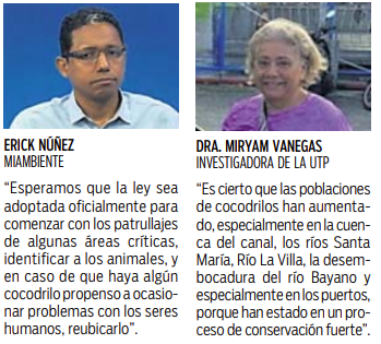 $!MiAmbiente pone en marcha plan para el control de los cocodrilos
