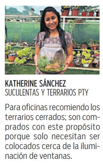 $!¡Mini jardines para el hogar y la oficina!