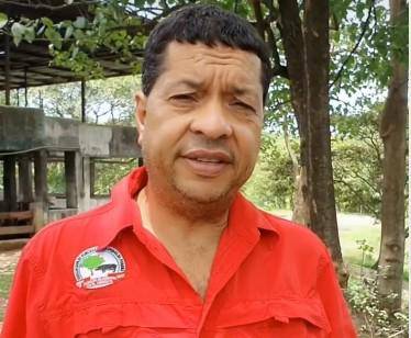 Sobreproducción y baja de precios afectan a porcinocultores, piden ayuda para exportar