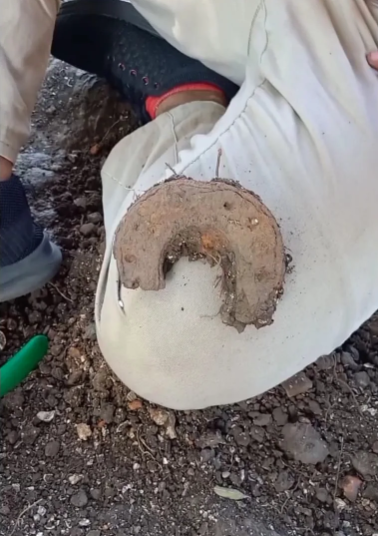 Hallazgos en Panamá Viejo revelan armería