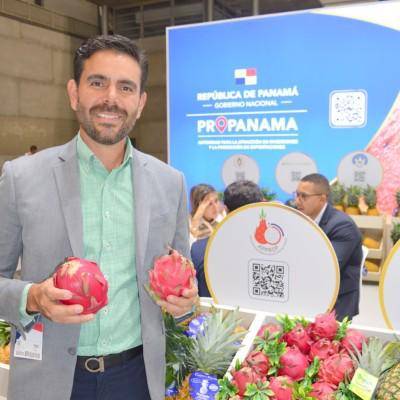 La producción de pitahaya supera las 3 mil toneladas al año