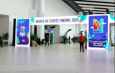Inauguran el World of Coffee Panamá 2026 con enfoque en cultura, logística y turismo