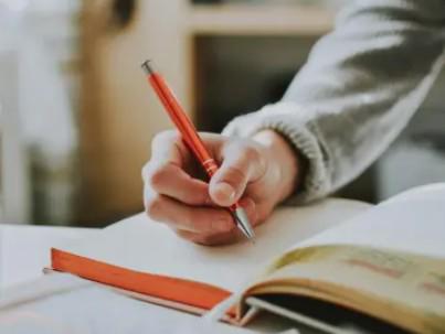 “El Caribe y Suramérica nuevos nichos para las exportaciones”