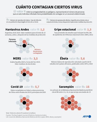 Nada indica que la cepa Andes del hantavirus haya mutado, estima la agencia sanitaria de la UE