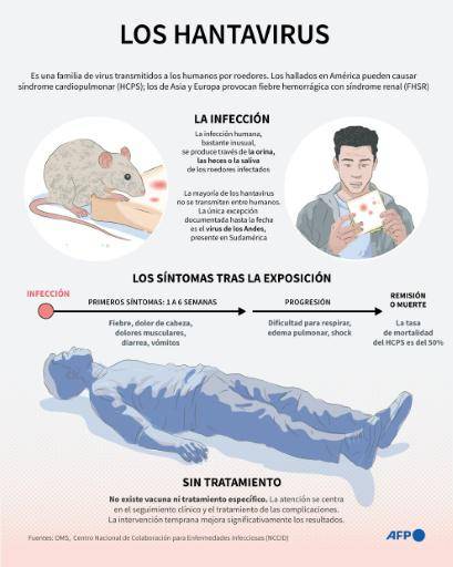 Argentina registra un aumento de casos de hantavirus, pero sin brote, dice un experto