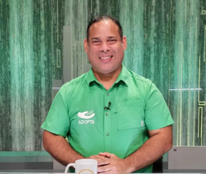 Pasos de fauna silvestre para proteger especies