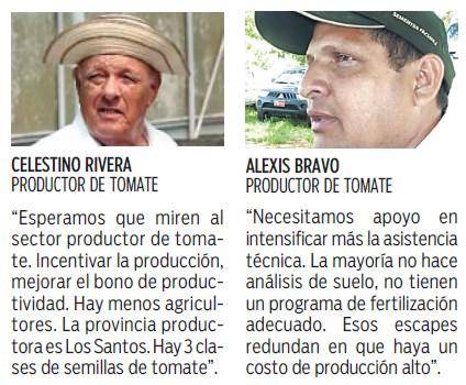 $!Alto costo de insumos y condiciones climáticas afectan producción de tomate