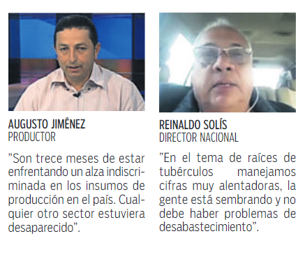 $!Garantizan suministro de papa, yuca y ñame en el mercado