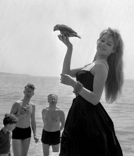 Francia debate cómo homenajear a Brigitte Bardot entre su legado y sus polémicas