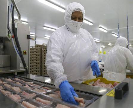 Alza del petróleo presiona costos y reduce el poder de compra de los consumidores