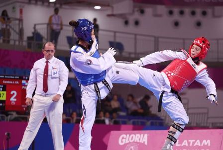 Panameños estarán en el Hub del Taekwondo